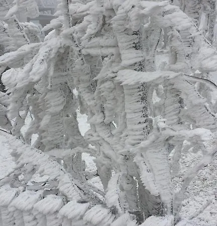 Πανσιόν Kluegelhuette Altenberg (Erzgebirge)