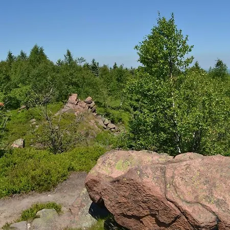 Πανσιόν Kluegelhuette Altenberg (Erzgebirge)