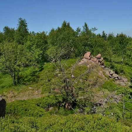 Πανσιόν Kluegelhuette Altenberg (Erzgebirge)